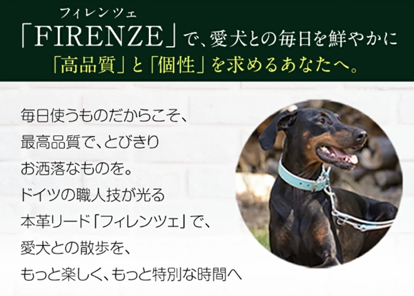 FIRENZEitBcFj