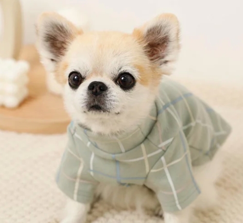 }``FbNnClbNugbvX