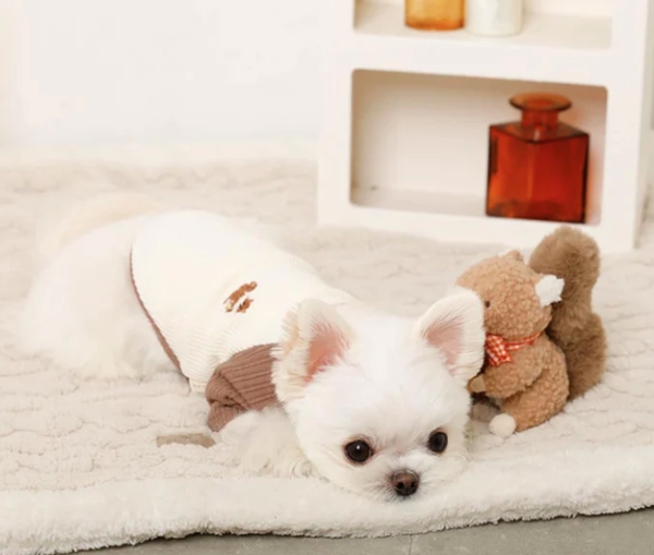 ���X���h�J�o�C�J���[���O����T�V���c