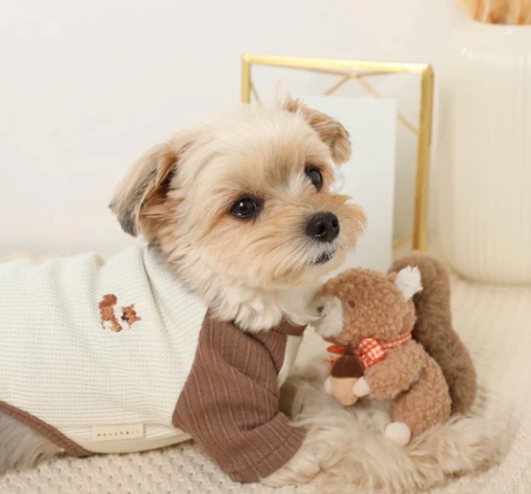 ���X���h�J�o�C�J���[���O����T�V���c