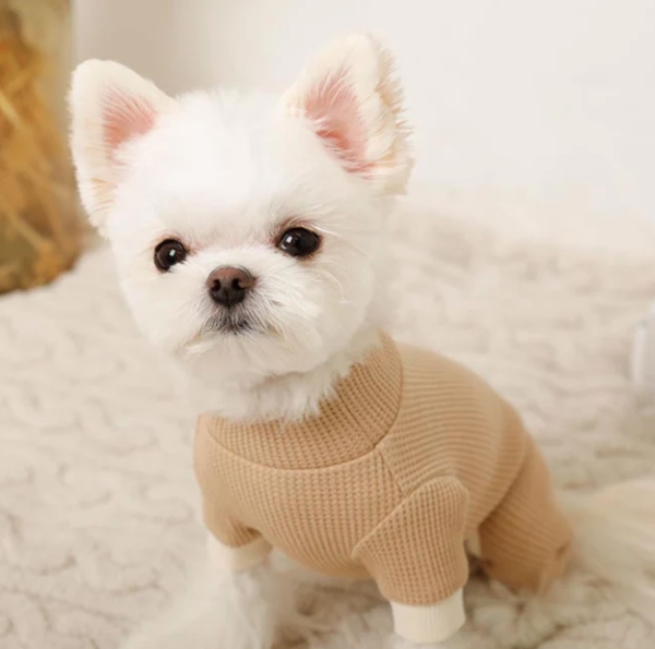 �T�[�}���ۉ������p�[�X