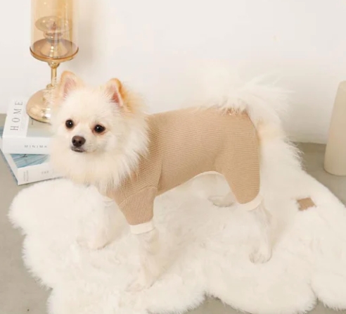 �T�[�}���ۉ������p�[�X