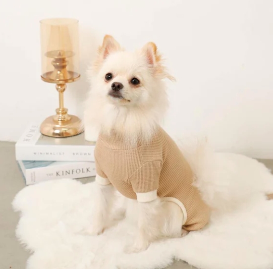 �T�[�}���ۉ������p�[�X