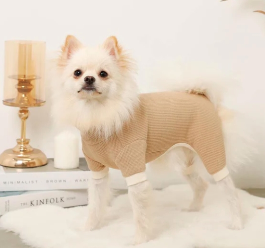 �T�[�}���ۉ������p�[�X